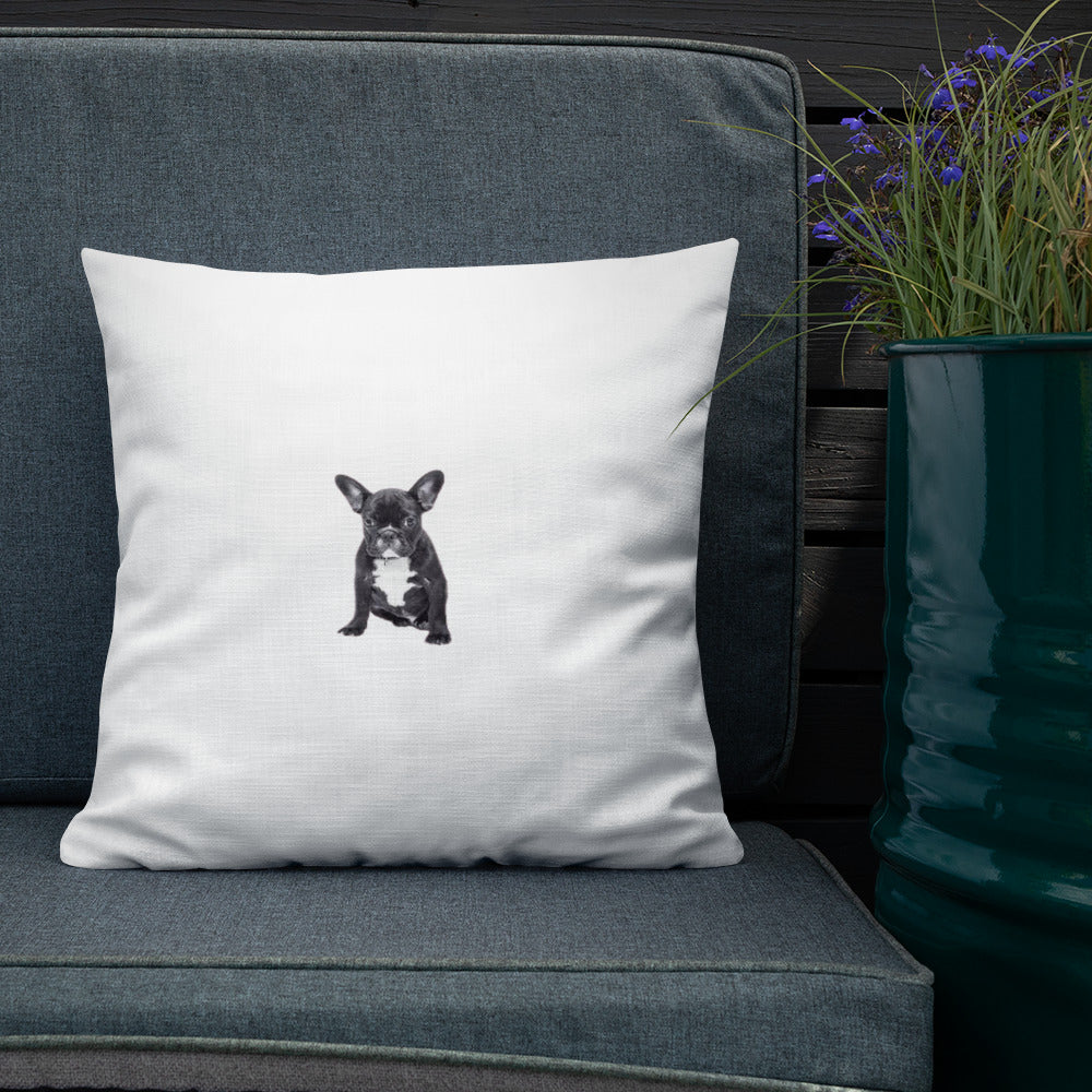 Premium Pillow