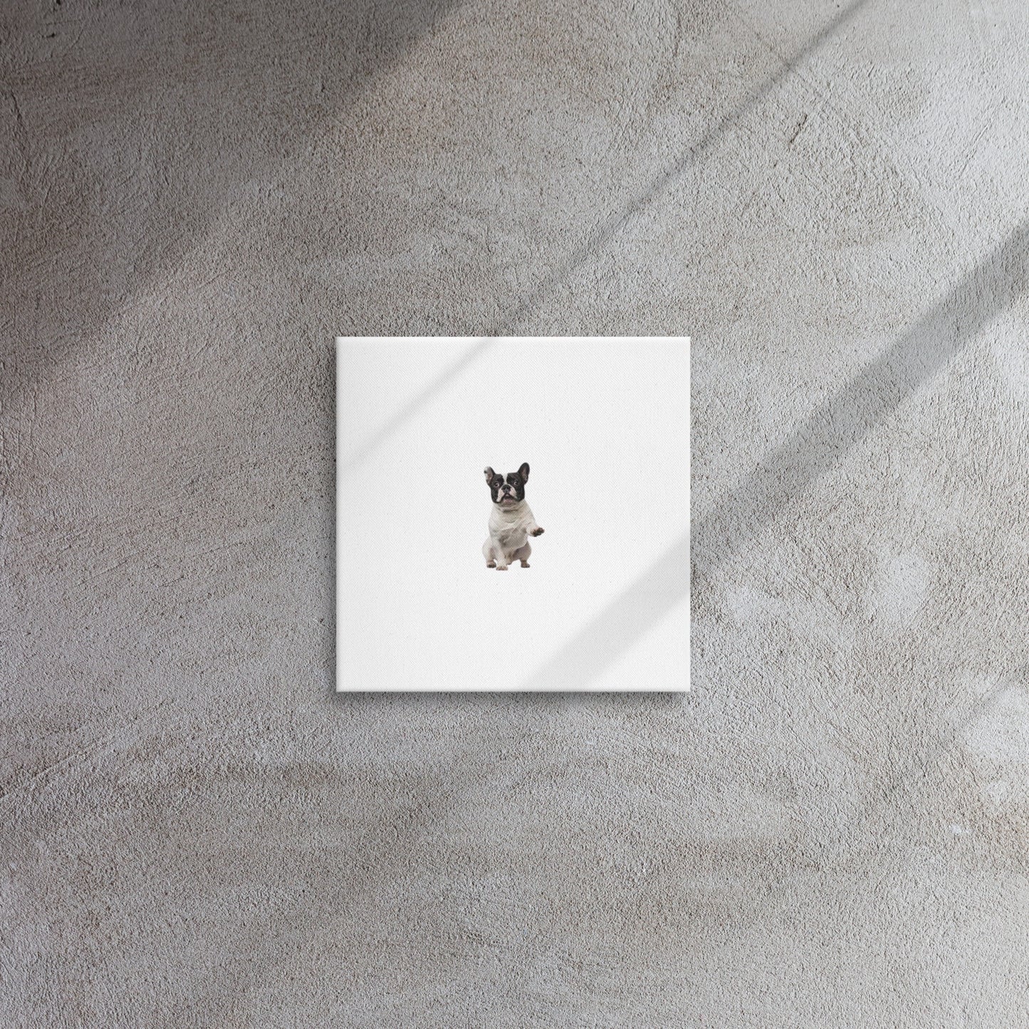 Thin canvas