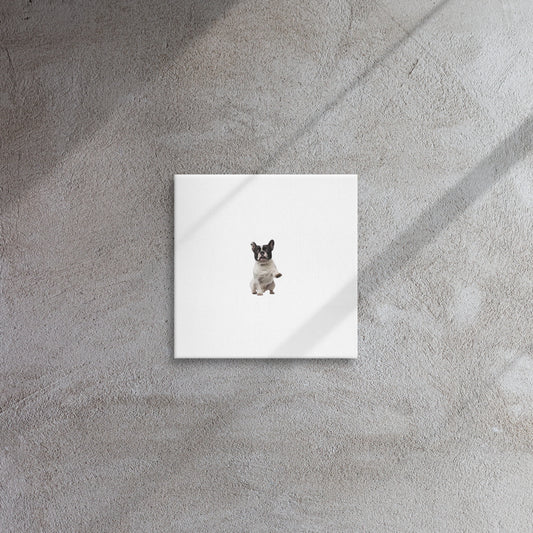 Thin canvas