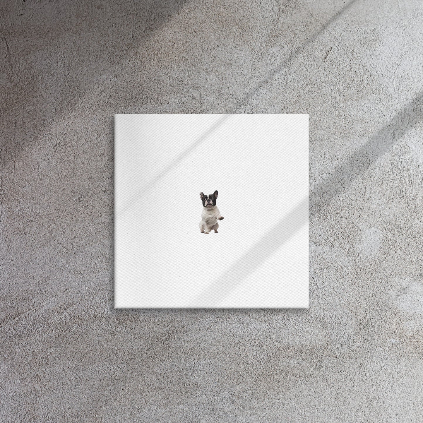 Thin canvas