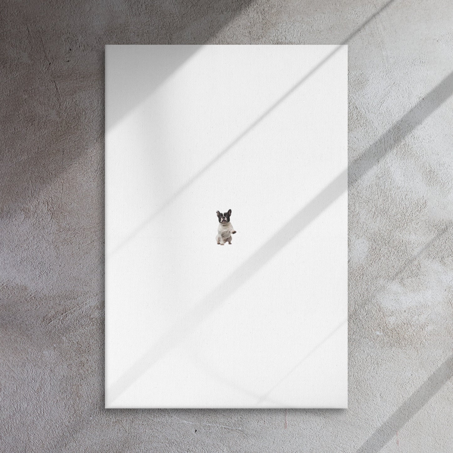 Thin canvas