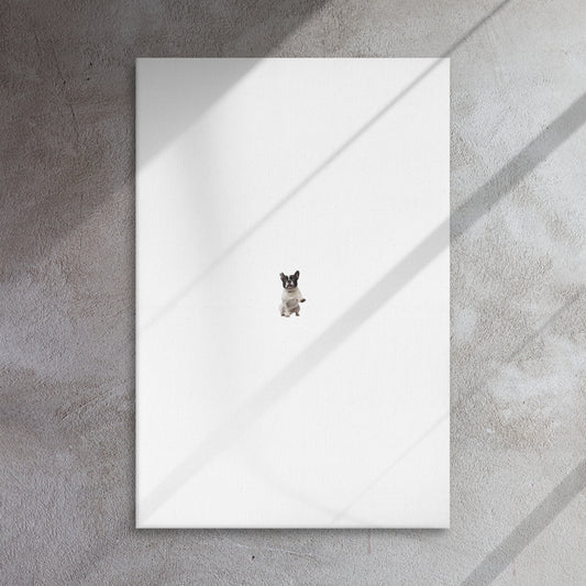 Thin canvas