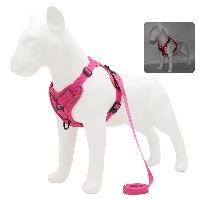 No Pull Dog Harness