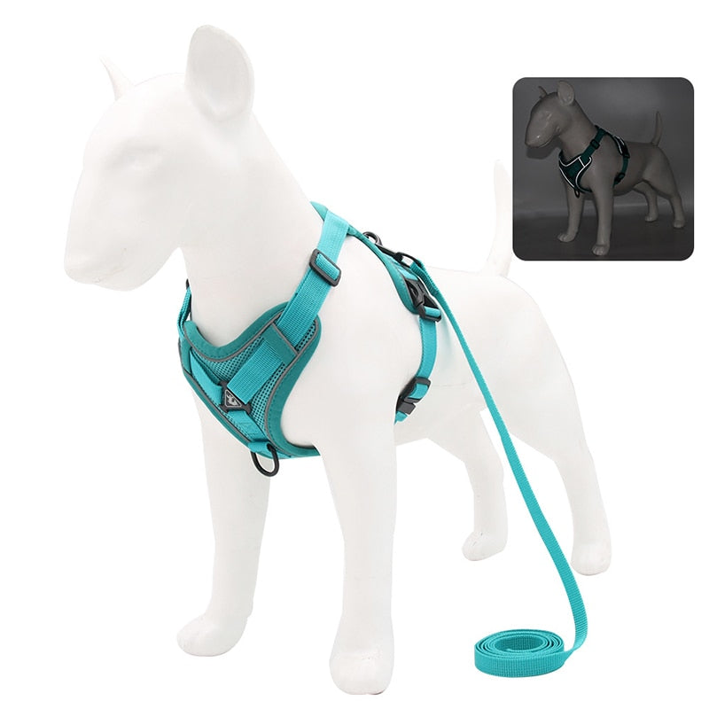 No Pull Dog Harness