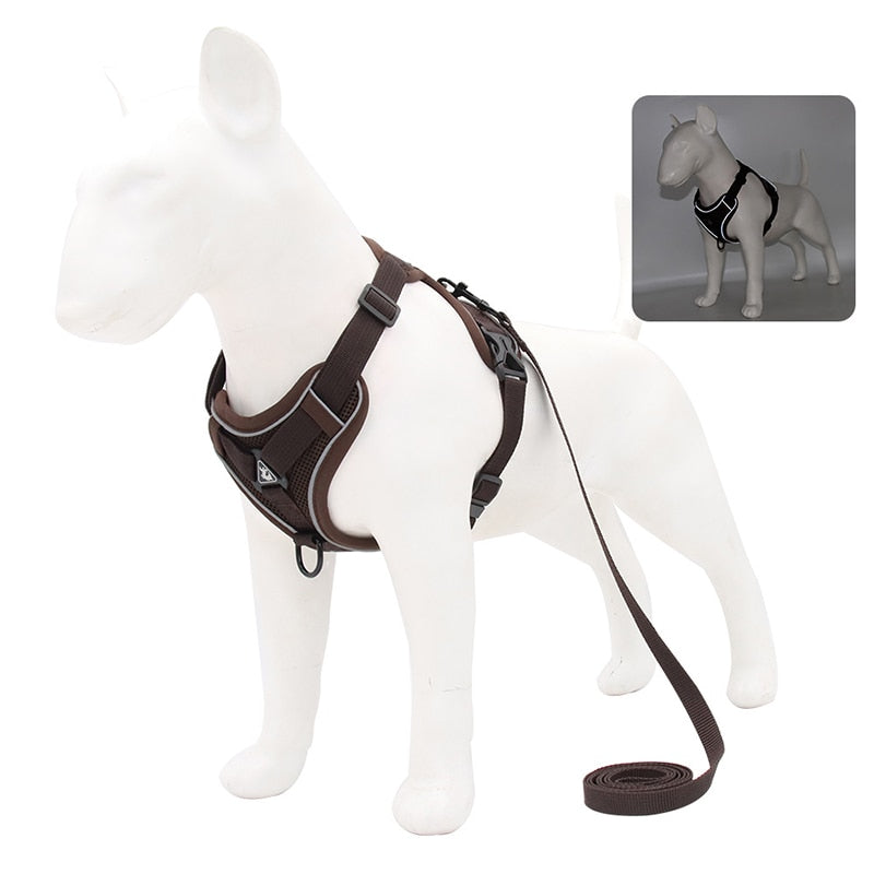 No Pull Dog Harness