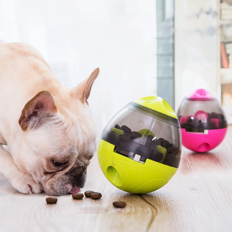 Interactive Treat Dispenser