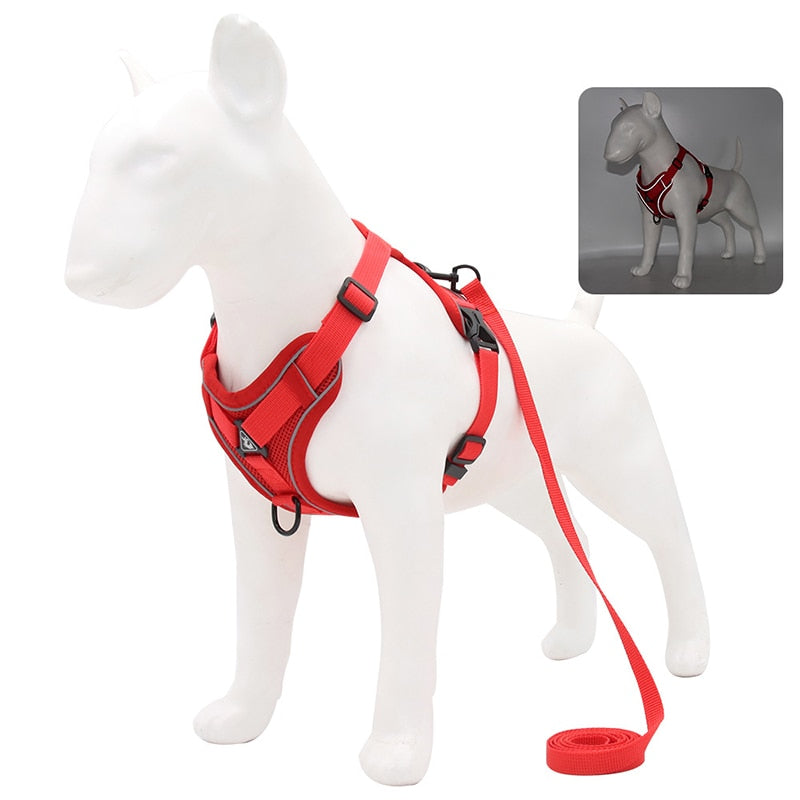 No Pull Dog Harness